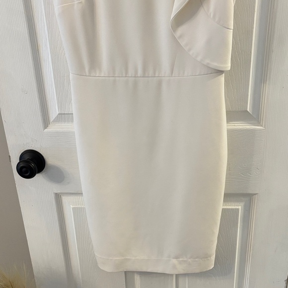 The Limited Sleeveless Ruffle Mini Dress - Picture 4 of 6